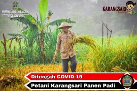 PANEN PADI DITENGAH PANDEMI COVID-19